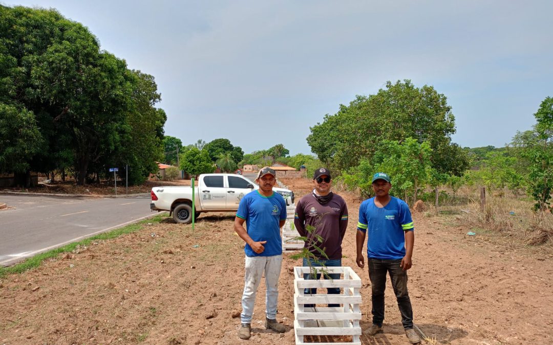 Santa Terezinha recebe 100 mudas de plantas do Viveiro Municipal de Vila Rica para arborização urbana